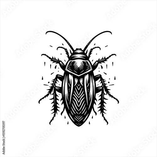 Cockroach isolated on white background