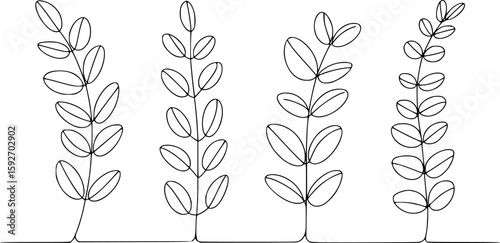 Simple botanical illustration of four delicate plant stems with oval leaves vector