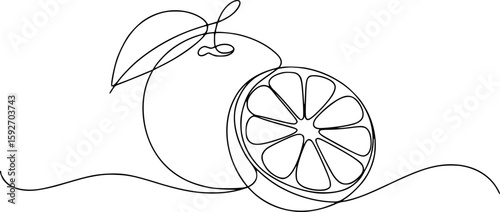 Single line drawing of a whole orange and a sliced orange with a leaf citrus fruit