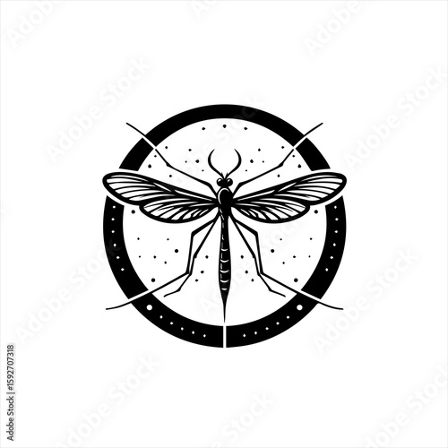 Mosquito isolated on white background