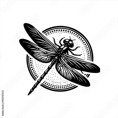 Dragonfly isolated on white background