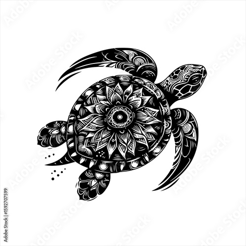 Turtle isolated on white background