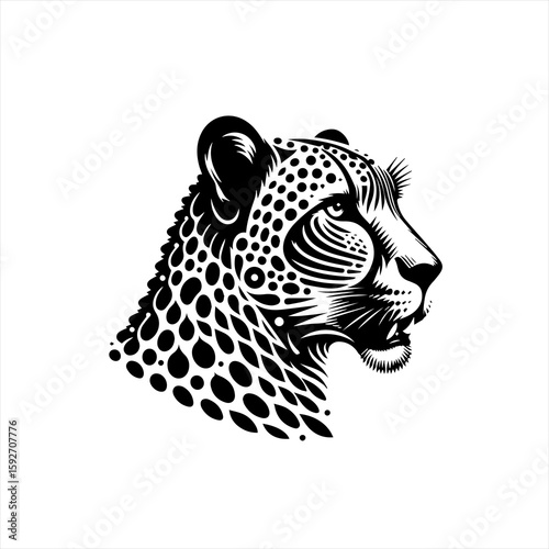 Leopard isolated on white background
