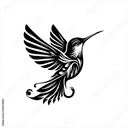 A hummingbird isolated on white background