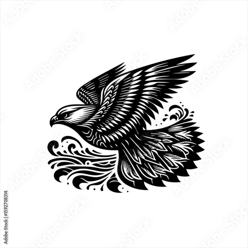 Eagle isolated on white background