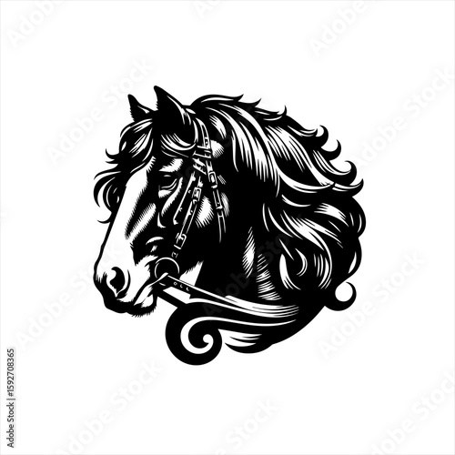 Horse head isolated on white background