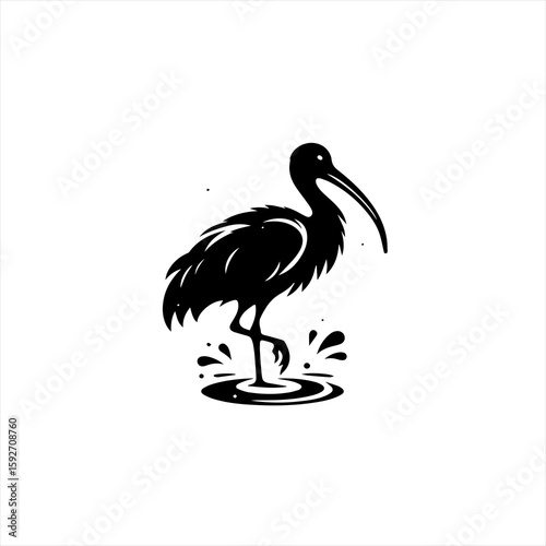 Ibis isolated on white background