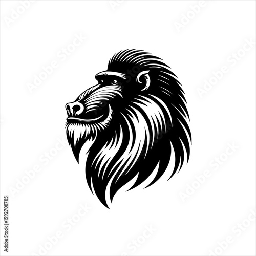 Mandrill isolated on white background