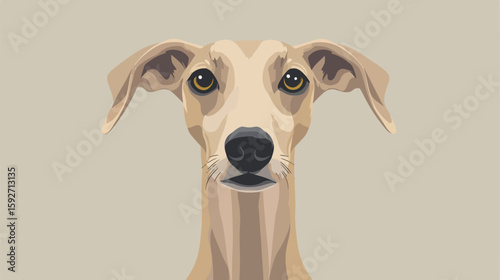 Greyhound Front View Vector Illustration