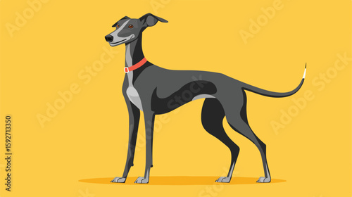 Greyhound Dog Pet Icon Vector Illustration