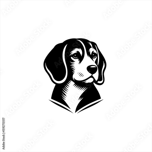 A beagle dog portrait