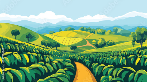 Serene Coffee Plantation Landscape with Agricultural Fields