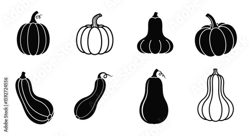 Collection of diverse winter squash varieties illustrated in black and white silhouette style