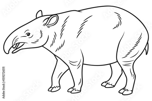 coloring page line art the tapir black vector