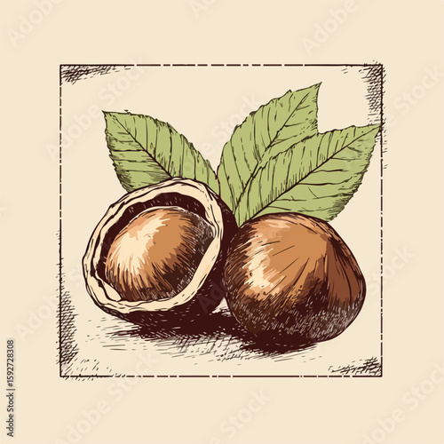 Detailed Chestnut Sketch on Beige Background