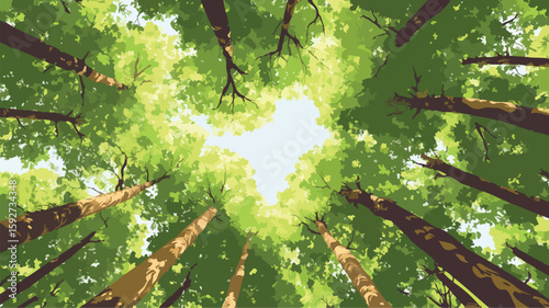 Tower Trees Reaching Upward in Sunlit Forest Canopy View