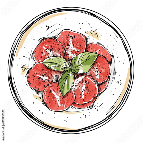 Hand Drawn Carpaccio on White Background