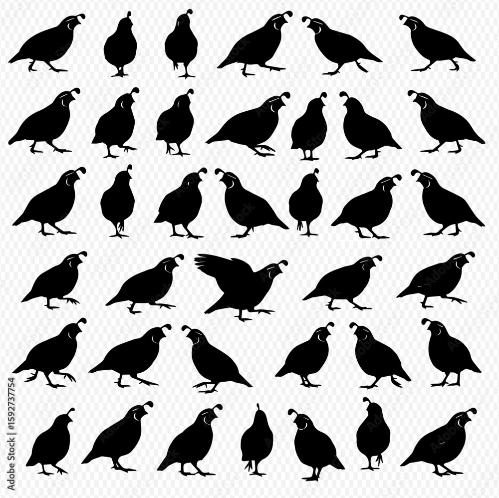 Fototapeta premium A collection of quail silhouettes in various poses, including standing, walking, and one with wings outstretched, arranged on a white background.