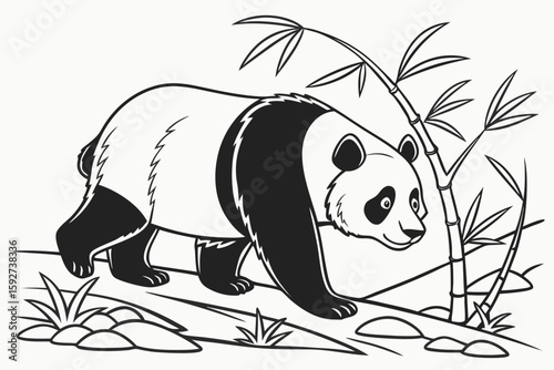 coloring page line art the panda black vector