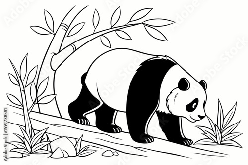 coloring page line art the panda black vector