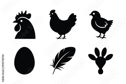 Rooster hen chick egg feather footprint vector