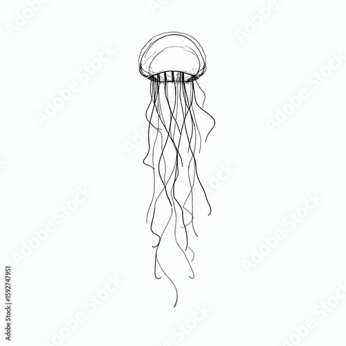 Deep-sea jellyfish illustration in minimalist style, vector art on white background with copy space