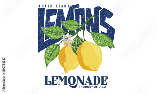 Nature fruit club print design. Organic food artwork for for t-shirt. Fruit vintage t-shirt design. Squeezed art. Summer food poster design. Lemon fruit artwork. Fresh lemon fruit print. Lemonade art.