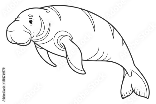 coloring page line art the dugong black vector