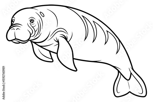 coloring page line art the dugong black vector