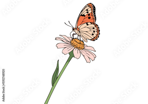 Valokuva delicate butterfly rests on a daisy showcasing 'Ranger's Pollinator Protection'
