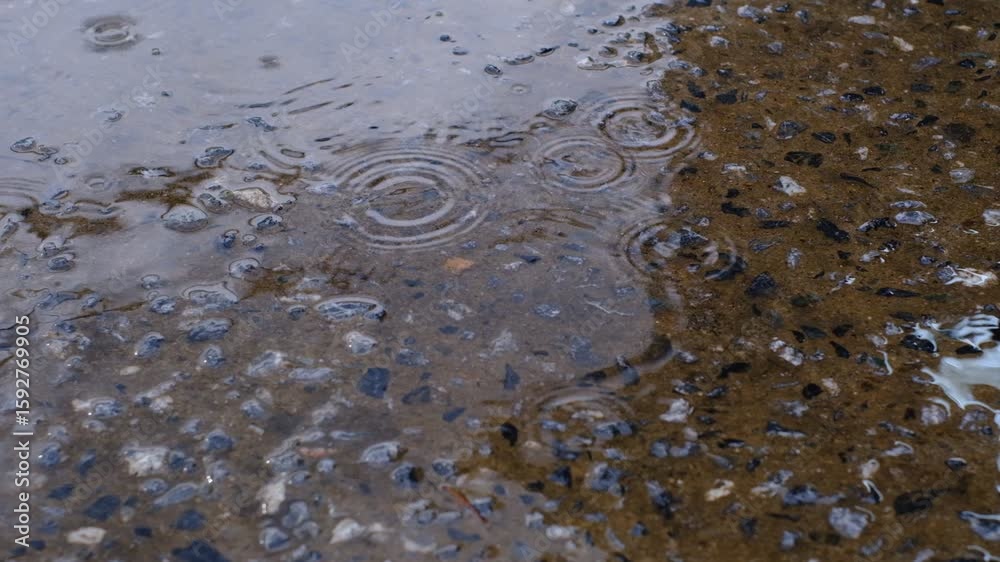 A puddle of water on a sidewalk with a few rocks in it. The water is murky and the rocks are scattered throughout the puddle A puddle of water on a sidewalk with a few rocks in it. The water is murky and the rocks are scattered throughout the puddle