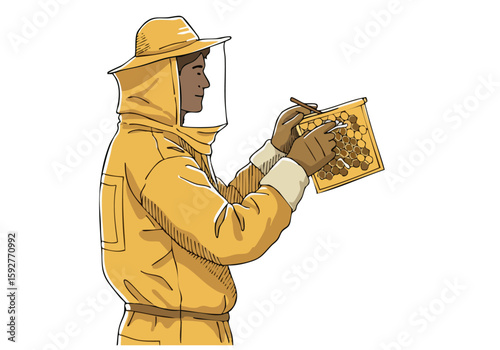 A professional bee protector examines a honeycomb, symbolizing urban conservation.  Bright, illustrative style.  Ideal for nature, sustainability, and community themes.