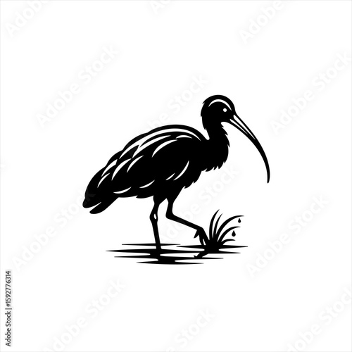 Ibis bird in grass illustration