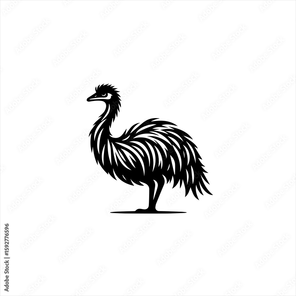 Fototapeta premium Emu isolated on white background