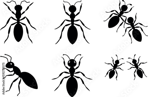 Set of ant silhouette, Insects silhouette,