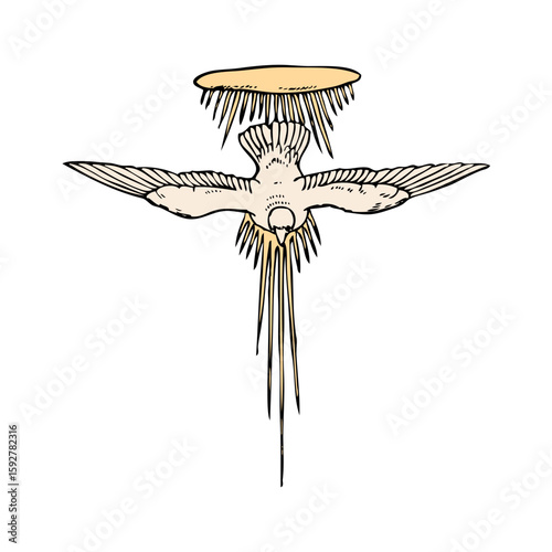 Dove in flight with radiant light design, suitable for Christian themes or peace related projects, perfect for adaptable graphic applications.