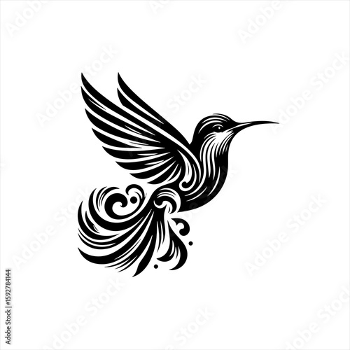 Hummingbird isolated on white background