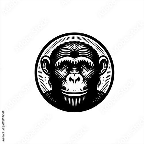 Chimpanzee face illustration