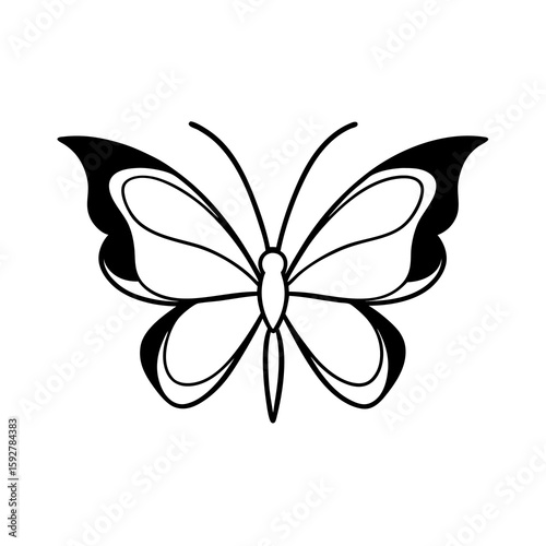 black and white butterfly