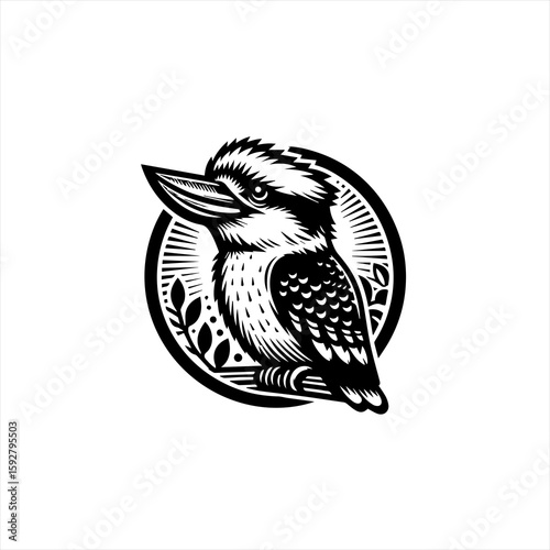Kookaburra bird illustration