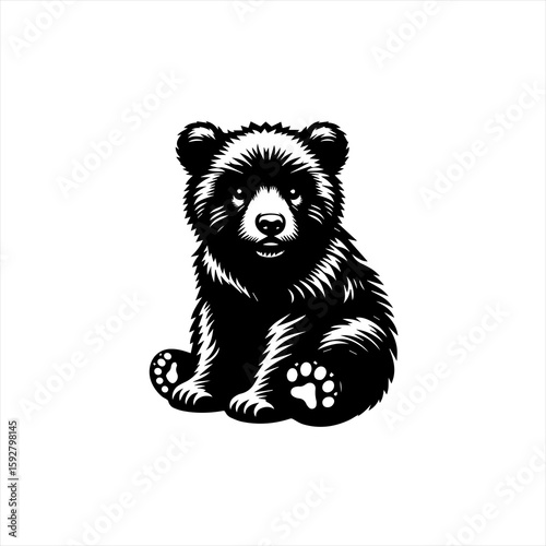 Baby bear sitting down