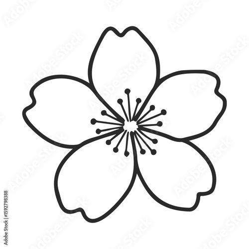 Simple black line drawing of a single cherry blossom flower outline