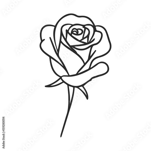 Elegant black and white rose line art suitable for tattoos and designs