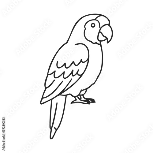 Parrot outline drawing of a perched bird with detailed feathers