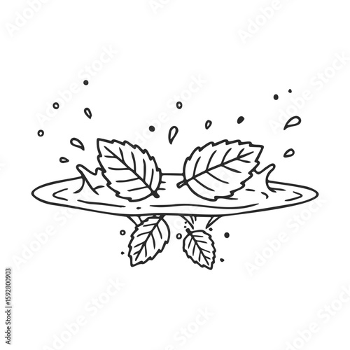 Mint leaves splashing in water line art illustration with minimalist design