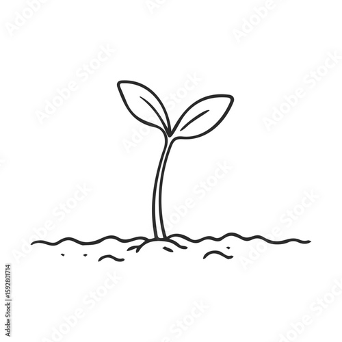 Simple outline of a growing plant sprout in soil