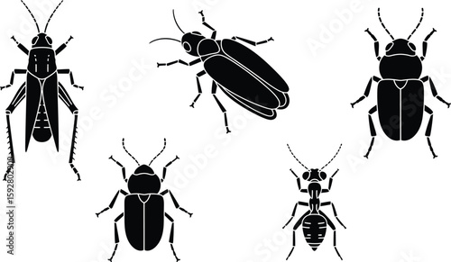 Collection of various flying insects and bugs depicted as silhouettes isolated on a white background for versatile design use isolated on white background