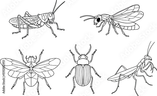 Collection of diverse flying insects and bugs depicted as a striking silhouette isolated on white background for versatile design use