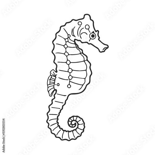 Intricate seahorse outline drawing on white background