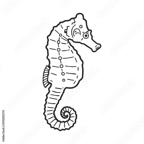 Black and white seahorse drawing with intricate line details